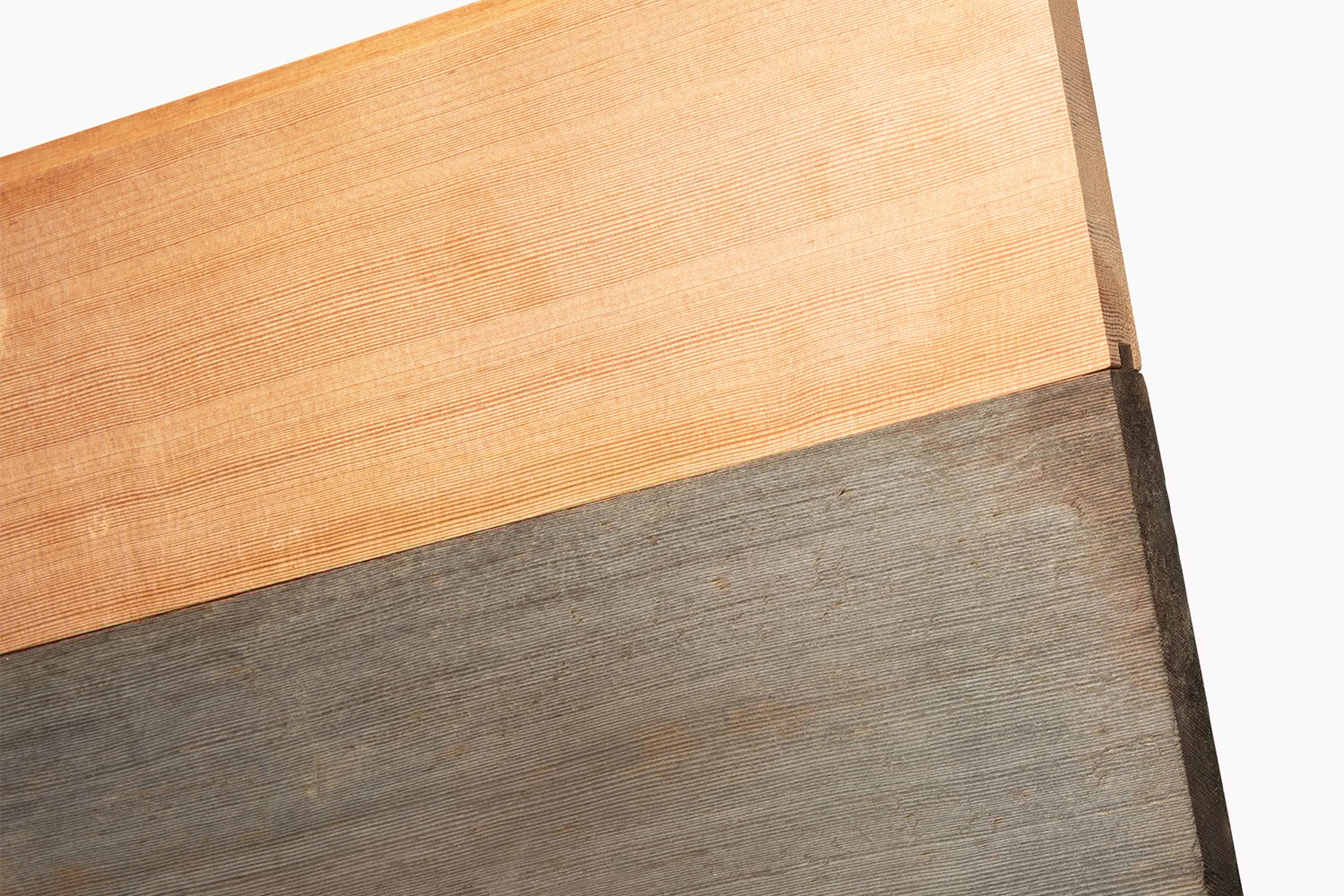 Weathering-Species Hubpage-alt