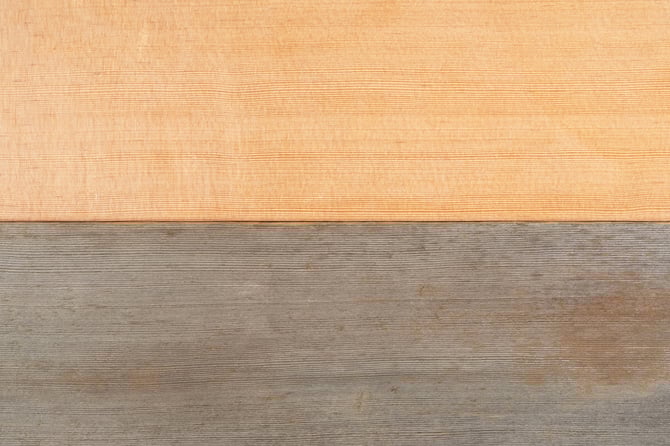 Weathering-Species Hubpage